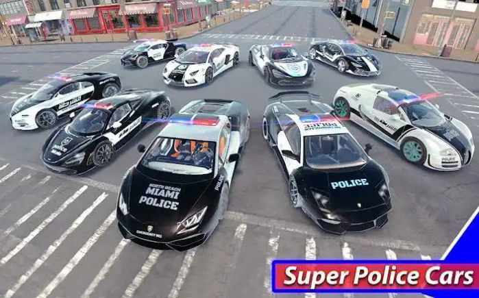 超级警车驾驶模拟器3D(3)