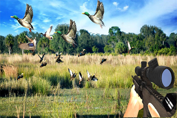 猎鸭射击模拟器(1)