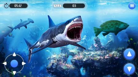 白鲨攻击任务3D(3)