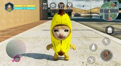 香蕉猫咪(2)