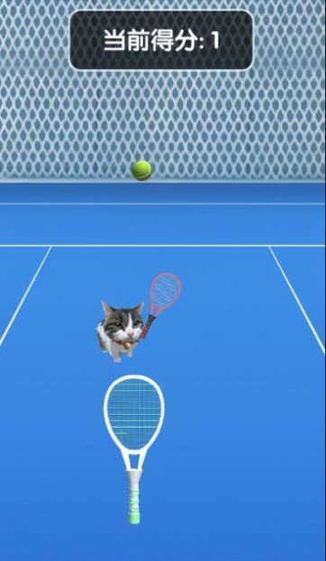 猫咪网球(1)